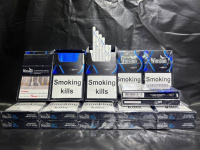 СИГАРЕТЫ WINSTON XS NANO BLUE оптом